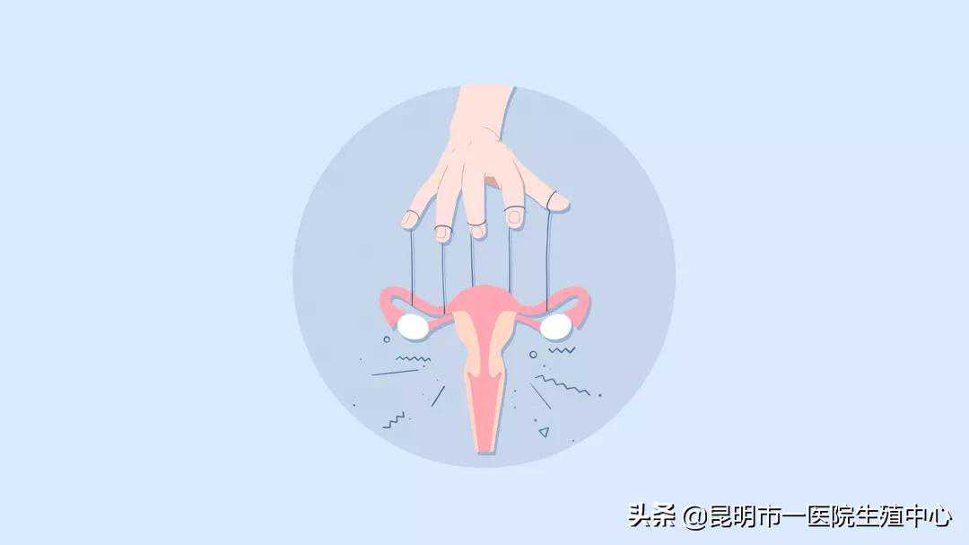 自己到香港验血查性别多少钱,女性不孕不育的原因,女性不孕不育11步排查