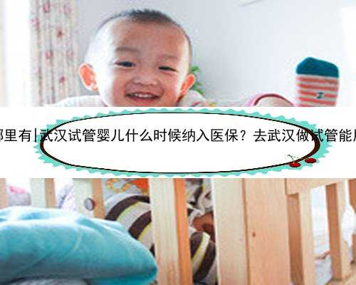 武汉代怀中心哪里有|武汉试管婴儿什么时候纳入医保？去武汉做试管能用医保