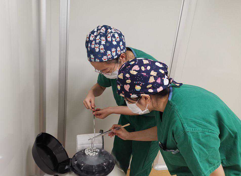 人流二个月后又怀孕香港能验血吗,自治区首例冻融卵母细胞试管婴儿成功受孕
